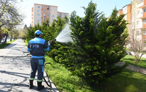 Bu gün paytaxtın 556  küçəsi yuyuldu