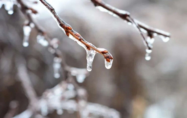 В Баку ночью будет мороз