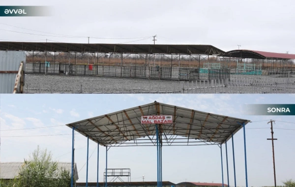 Ağdaş heyvan satışı bazarı fəaliyyətə başlayıb