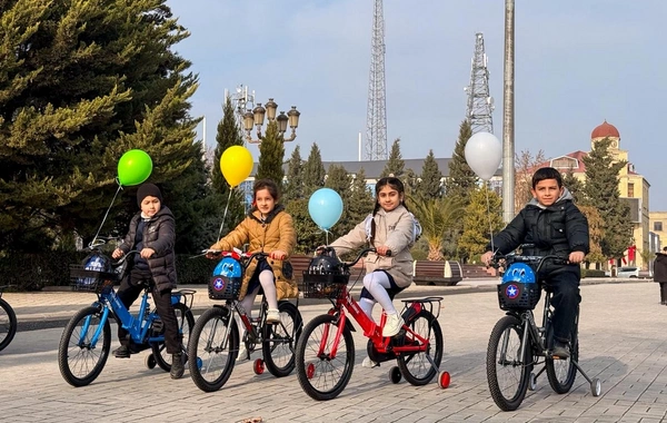 Leyla Əliyevanın təşəbbüsü ilə Yevlax şəhərində uşaqlar üçün Yeni il tədbiri keçirilib