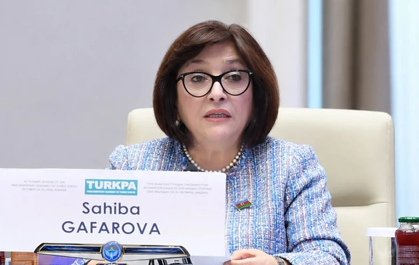 Sahibə Qafarova TÜRKPA-nı gənclər siyasətini gücləndirməyə çağırıb