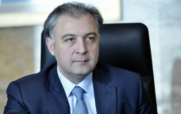 Prezidentin köməkçisi: 52 aqropark kənd təsərrüfatının inkişafını sürətləndirib