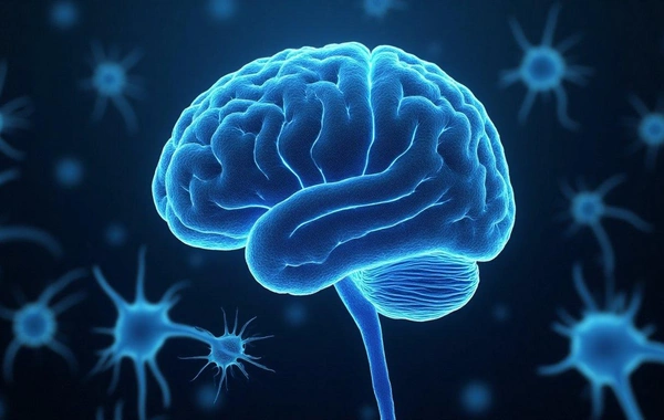 Alimlər Alzheimer xəstəliyinə qarşı yeni ümidverici üsul kəşf etdilər
