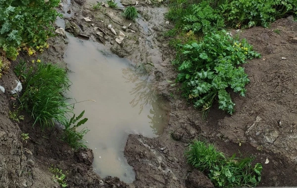 Cəlilabadın Alar kəndində su qıtlığı yaranıb, ADSEA suyun növbə ilə verildiyini bildirib