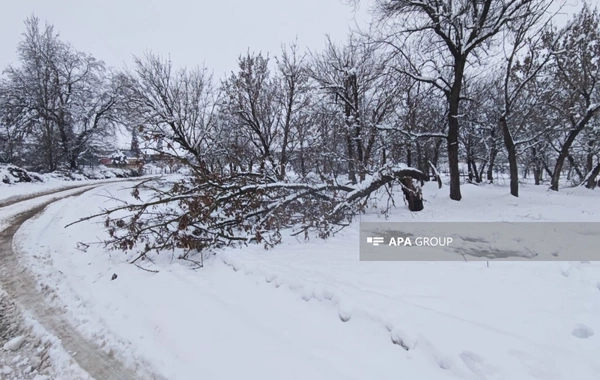 Cəlilabadda qarlı hava yol qəzalarına səbəb olub