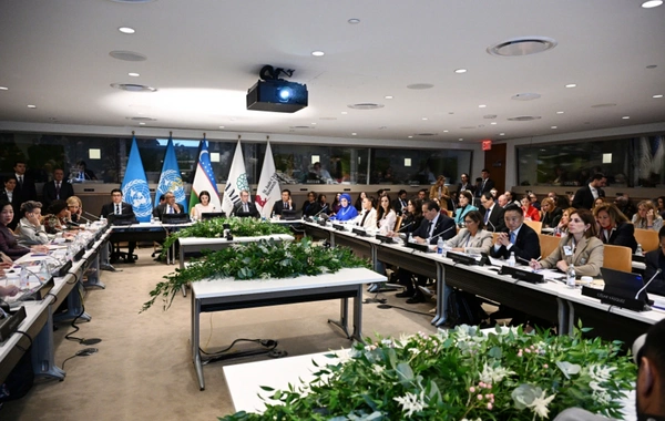 Mehriban Aliyeva participated in a special session within the framework of the UN General Assembly