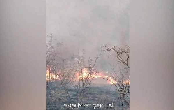 В Агдере пожарные предотвратили распространение огня на жилые дома
