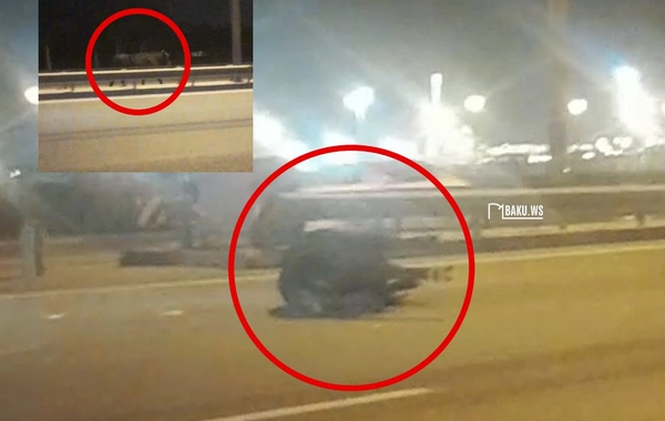 Aeroport yolunda TƏHLÜKƏ - Qəfl yola çıxan öküzü maşın VURDU