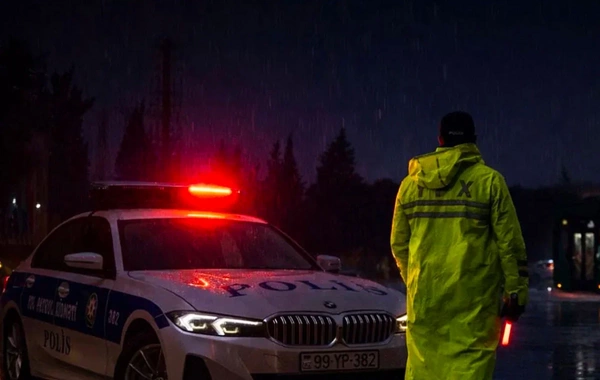Bu yola iri ağac aşıb - Yol polisindən XƏBƏRDARLIQ
