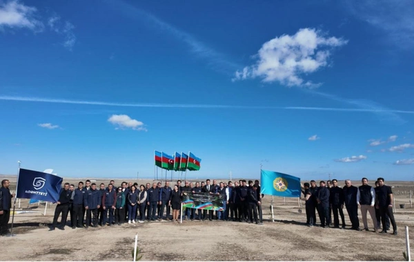 Nazirlik Zəfər Gününə həsr olunmuş ağacəkmə aksiyası keçirib Nazirlik Zəfər Gününə həsr olunmuş ağacəkmə aksiyası keçirib