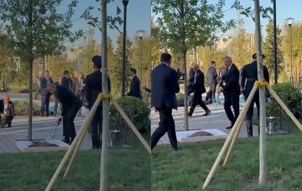 İlham Əliyev və Şavkat Mirziyoyev Yeni Daşkənddə ağac əkdilər