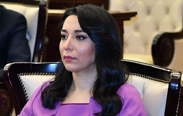 Səbinə Əliyeva: Ermənistanlı hüquq müdafiəçisinin iddiaları əsassız və qərəzlidir