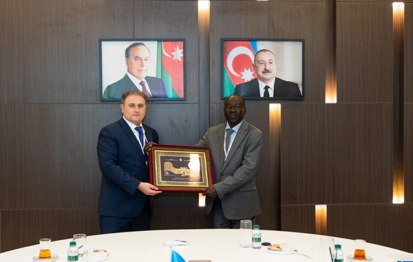 Afrika ölkələri Azərbaycanın müdafiə sənayesi barədə məlumatlandırılıb