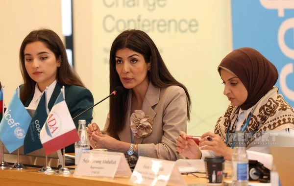 Nigar Arpadarai: Yaşıl keçid üçün trilyonlarla ABŞ dollarına ehtiyac var