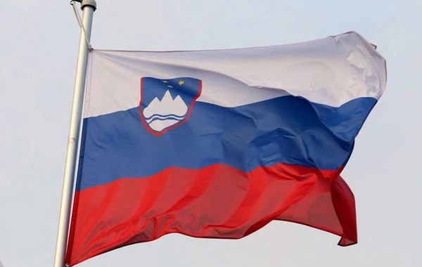 Sloveniya Bakı və İrəvana sülh əldə etmək səylərində dəstəyini ifadə edib