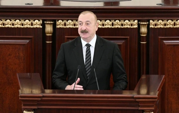 Prezident İlham Əliyevin rəhbərliyi ilə Azərbaycan dilinin qorunması üçün mühüm addımlar atılıb - RƏY