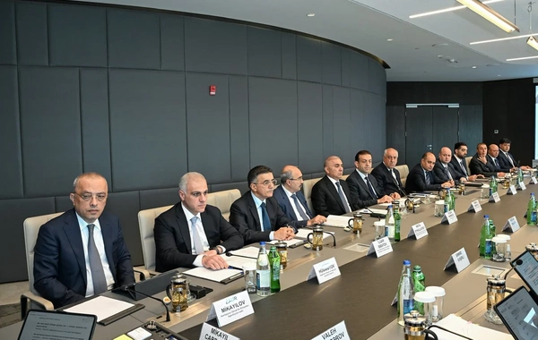 Ələt Azad İqtisadi Zonası üzrə İşçi Qrupunun iclası olub