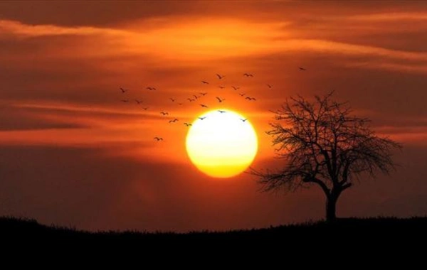 Dünyada 2025-ci il qeydlərə görə ən isti üçüncü il olub