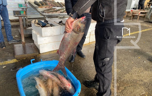 Ət əvəzinə hamı balıq alır - Bazarda SON QİYMƏTLƏR