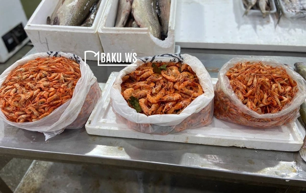 Bakıda balıq yarmarkası fəaliyyətə başladı
