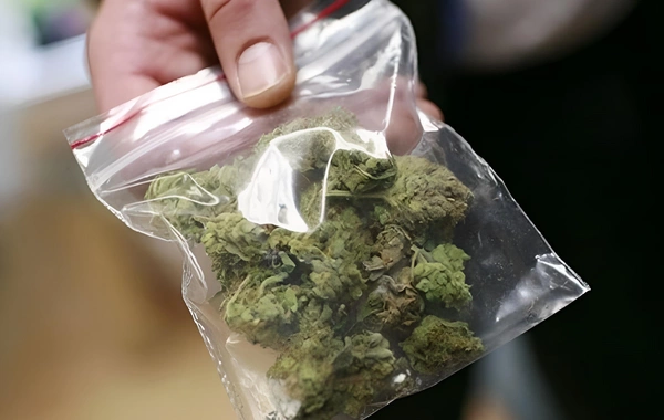 Qobustanda narkotikin təsiri altında avtomobil idarə edən sürücü saxlanıldı