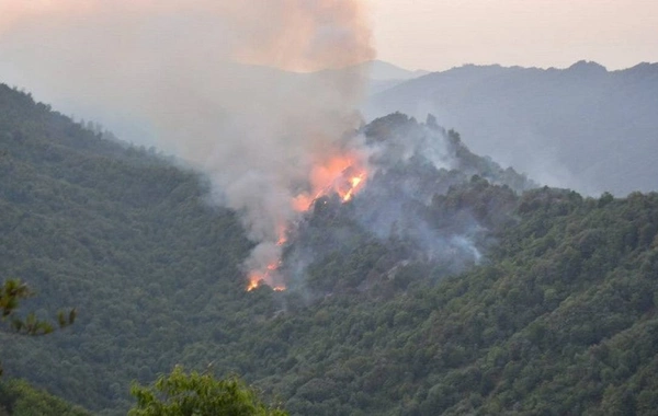 Laçında dağlıq ərazidə yanğın başlayıb