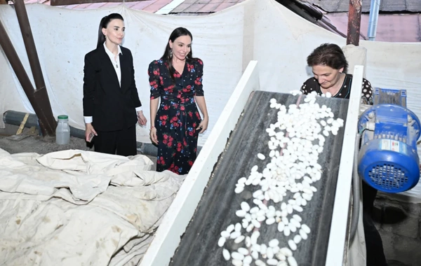 Leyla Əliyeva "Azəripək" ASC-nin fəaliyyəti ilə yaxından tanış olub