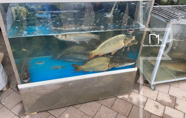 Neftçalada rayonunda "I Balıq" Festivalı keçirilib