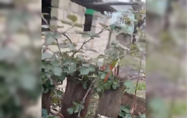 Ev sahibini öldürüb üstündə it damı tikdi - Xaçmazda dəhşətli qətl