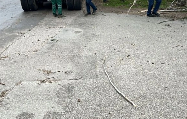 Güclü külək Bakıda 37 ağacı sındırıb