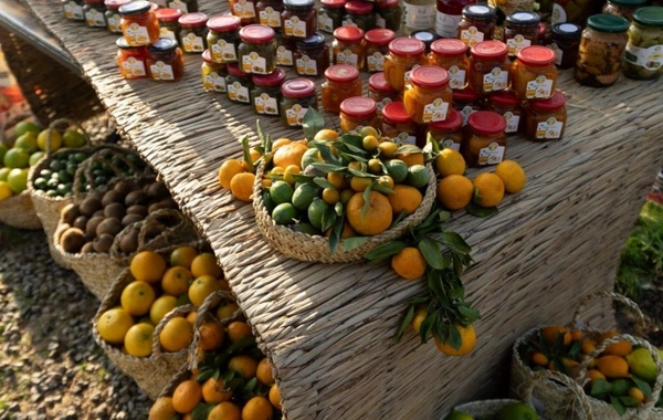 Leyla Əliyeva, Arzu Əliyeva və Alena Əliyeva Lənkəranda fermer təsərrüfatı ilə tanış olublar