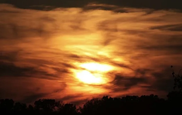 Ученые выяснили, сколько продлится период аномальной жары на Земле