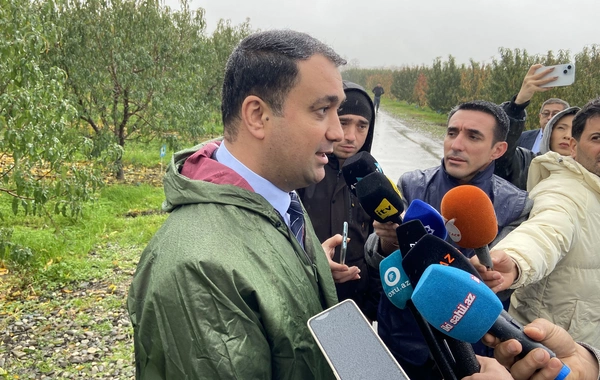 Azərbaycanda meyvə bağını şaxta vurması üzrə 712 min manat sığorta ödənişi edilib