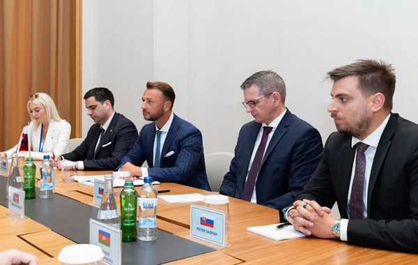 Azərbaycan və Slovakiya daxili işlər sahəsində əməkdaşlığa dair Anlaşma Memorandumu imzalayıb