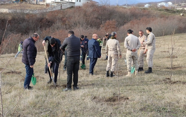 Xocalıda Heydər Əliyevin anım günü münasibətilə ağacəkmə aksiyası keçirilib