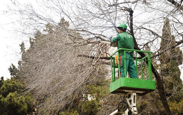 Güclü yağışdan sonra Bakıda genişmiqyaslı daxili iməcilik keçirilib