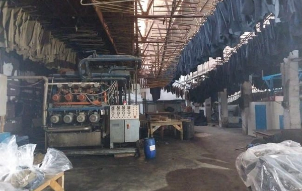 AQTA ixrac üçün nəzərdə tutulan 122 tondan çox dəri tullantısında infeksiya törədicisi aşkarlayıb