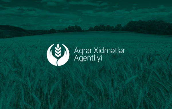 Hesablama Palatası Aqrar Xidmətlər Agentliyində nöqsanlar aşkar edib