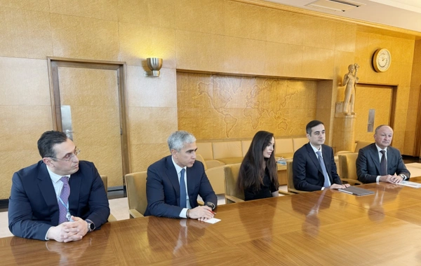 Leyla Əliyeva BMT-nin Cenevrədəki ofisinin baş direktoru ilə görüşüb