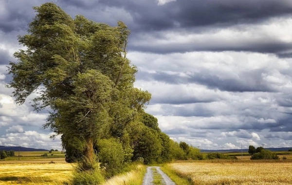 Küləkli hava şəraiti ilə bağlı sarı və narıncı xəbərdarlıq verilib