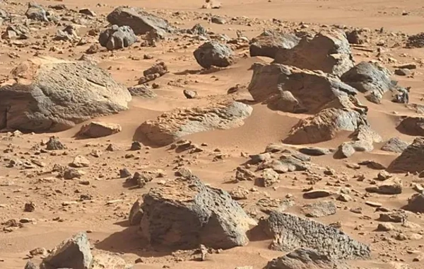 Ученые NASA нашли вероятное доказательство жизни на Марсе