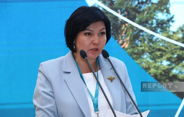 Bakıda COP29 Sədrliyinin təşəbbüsü ilə İqlim Şəffaflığı üzrə Yüksək Səviyyəli Dialoq keçirilib