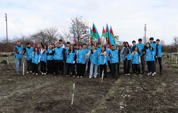 IDEA Şəki və Qəbələdə kütləvi ağacəkmə aksiyası təşkil edib