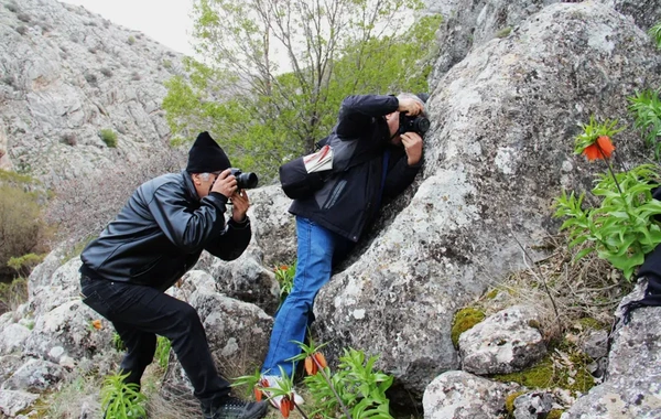 Ağlayan gəlin gülünü qoparan 700 min cərimələnir