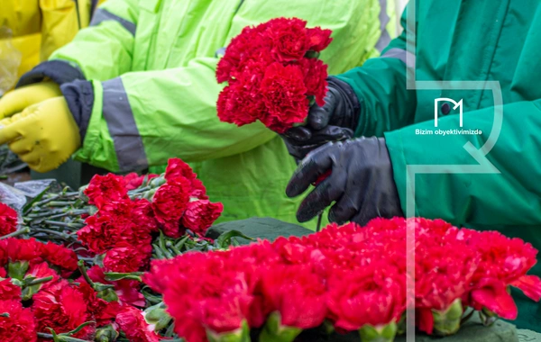 В Баку началась подготовка к 36-й годовщине трагедии 20 Января