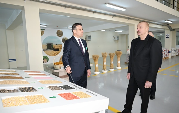Sabirabad Sənaye Məhəlləsində toxum istehsalı müəssisəsinin fəaliyyəti ilə tanışlıq Sabirabad Sənaye Məhəlləsində toxum istehsalı müəssisəsinin fəaliyyəti ilə tanışlıq