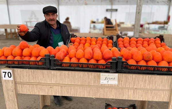 Bakıda ən ucuz məhsullar bu bazarlarda satılır