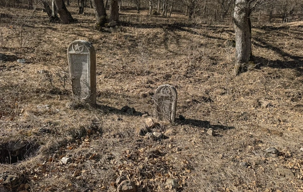 "Qərbi Azərbaycanın yaddaş yerləri": Yalnız soydaşlarımızın yaşadığı Bəriabad kəndi necə erməniləşdirilib?