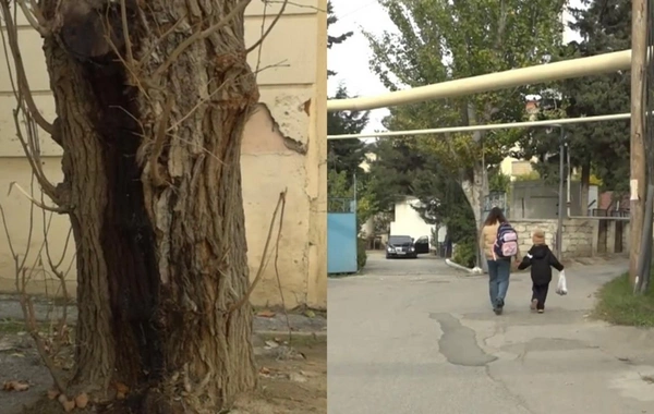 Bakıda məşhur şadlıq evində nöqsanlar aşkarlandı: Müştərilərə camış əti verilirmiş