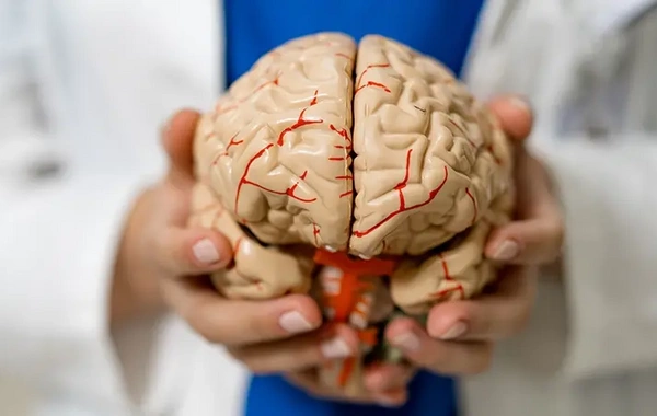 Beyni tam söndürmək mümkündürmü? – Alimlər açıqlayır